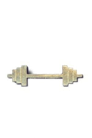 BARBELL PIN
