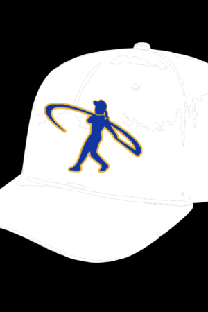 3D EMBROIDERY NMB SOFTBALL HATS
