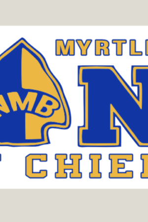 NMB Band Bumper Sticker